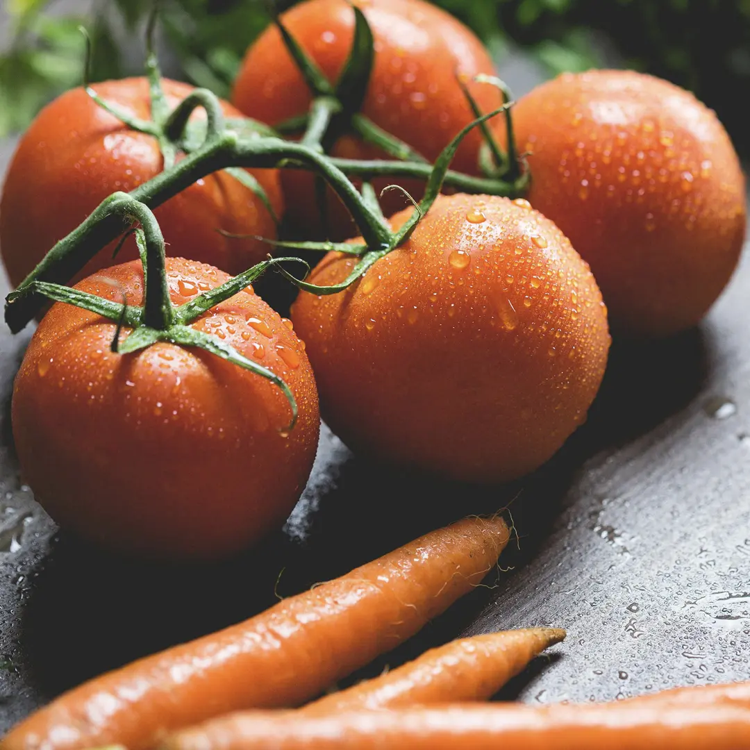 alimentation équilibrée